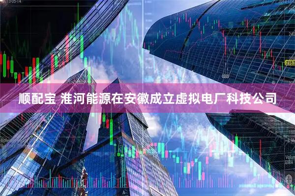 顺配宝 淮河能源在安徽成立虚拟电厂科技公司