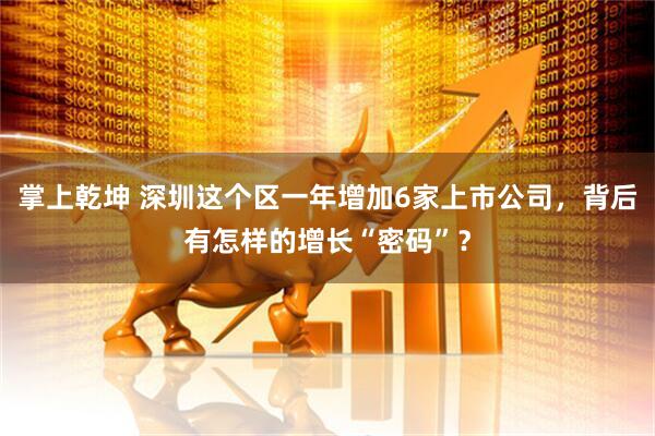 掌上乾坤 深圳这个区一年增加6家上市公司，背后有怎样的增长“密码”？