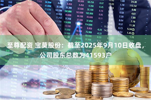 至尊配资 宝莫股份：截至2025年9月10日收盘，公司股东总数为41593户