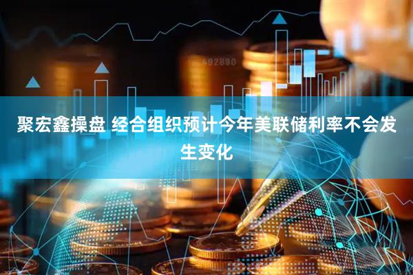 聚宏鑫操盘 经合组织预计今年美联储利率不会发生变化