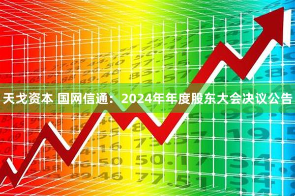 天戈资本 国网信通：2024年年度股东大会决议公告