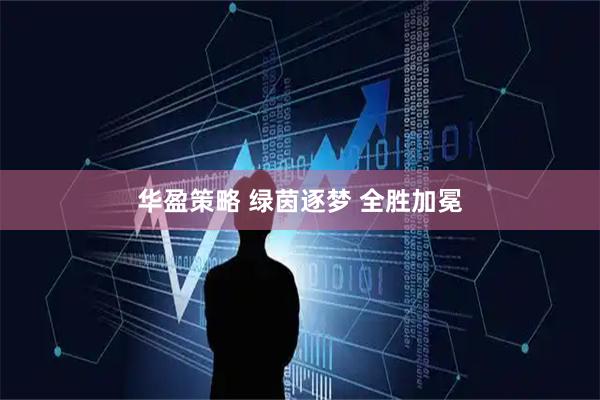 华盈策略 绿茵逐梦 全胜加冕